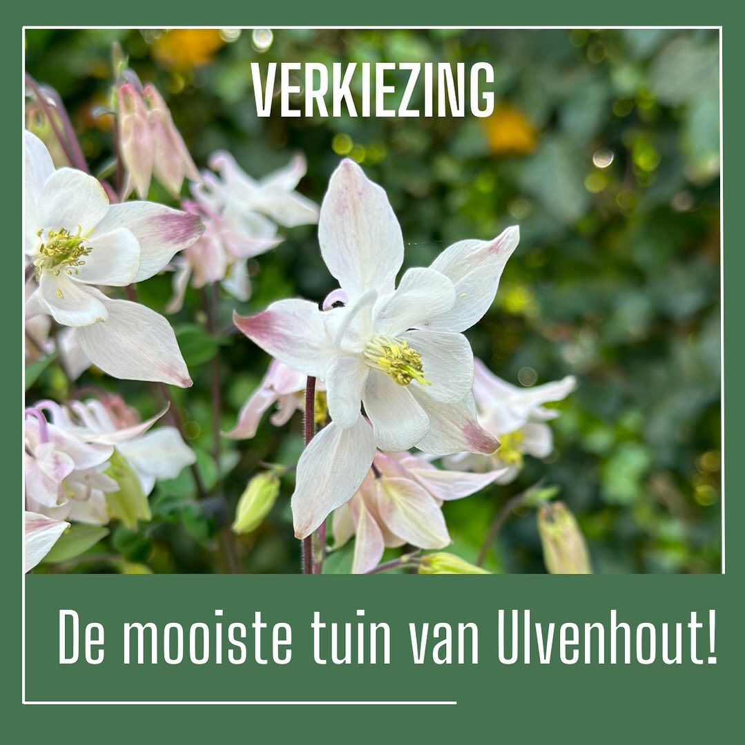 poster verkiezing mooiste tuin van Ulvenhout