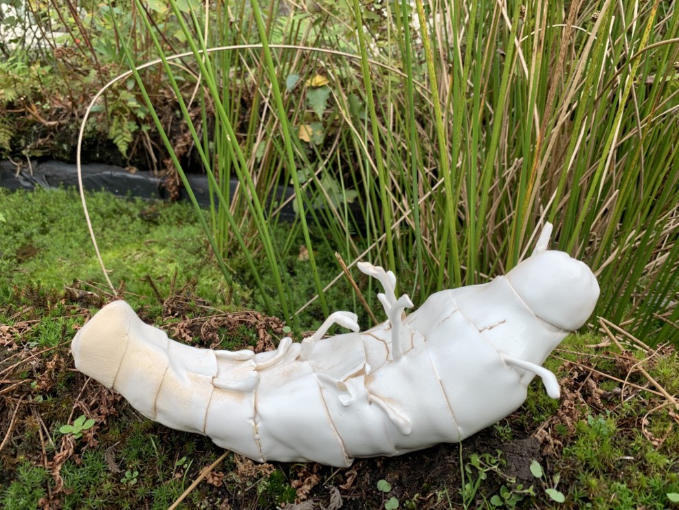 Wabi sabi