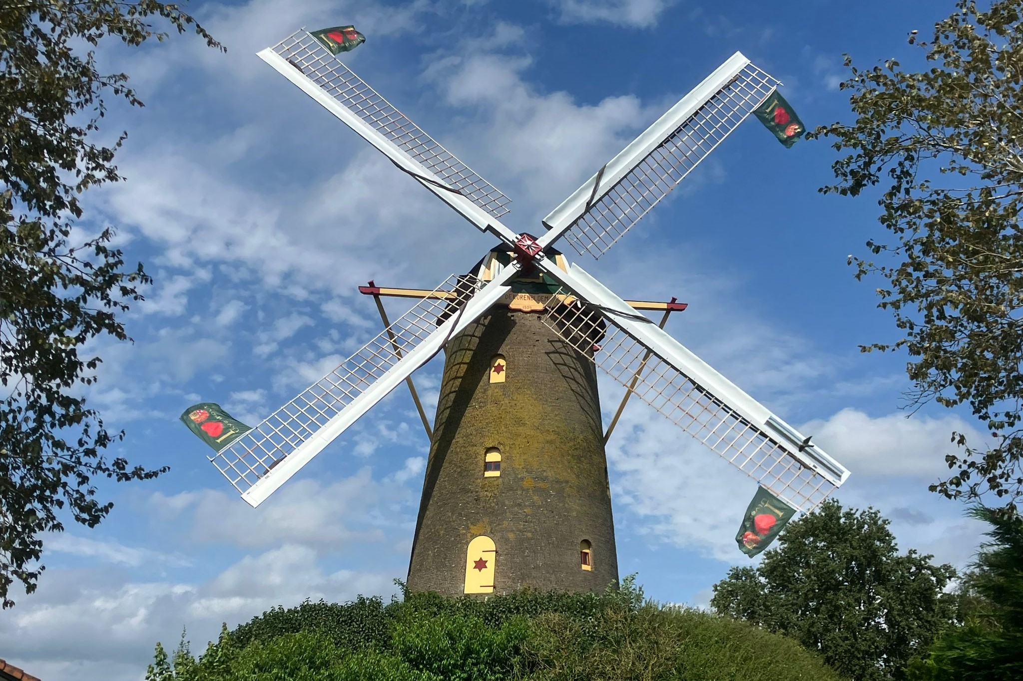 Molen De Korenbloem