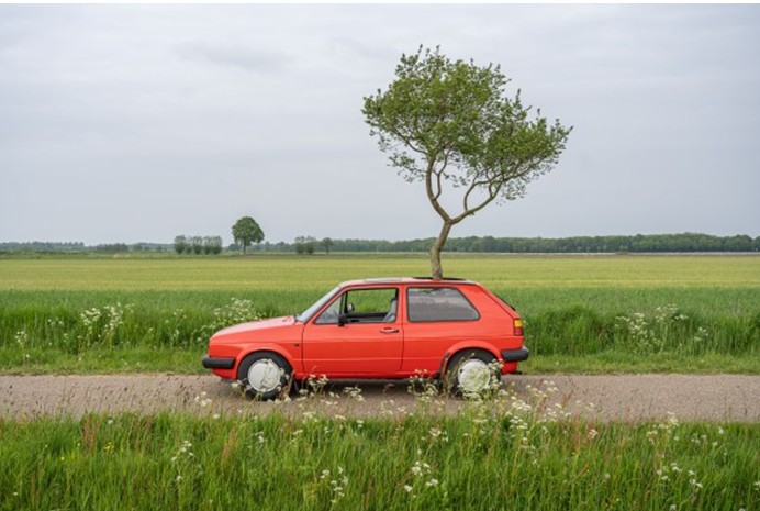 Boom in auto (Foto: Marit Bijkerk)