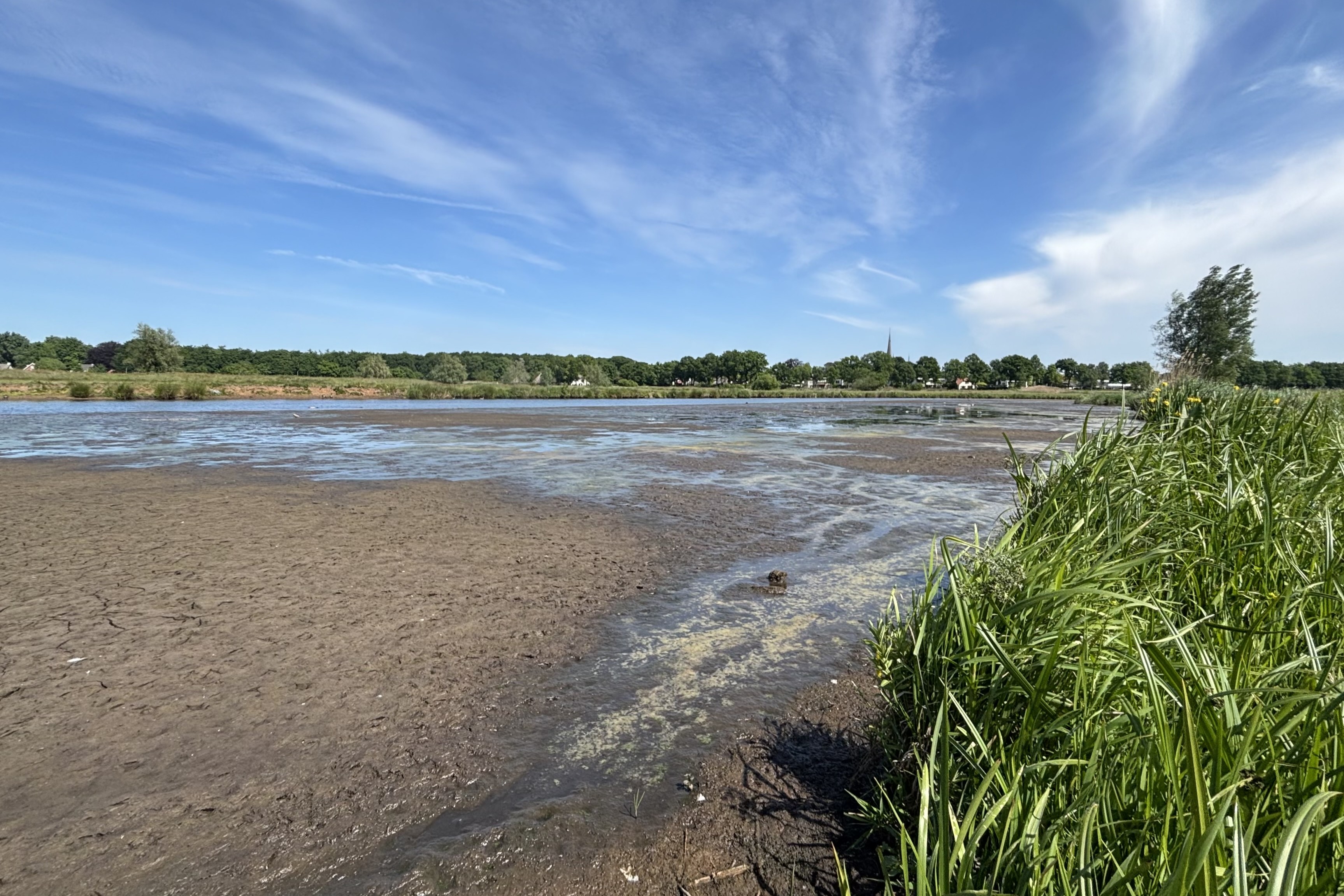 Kwelderlandschap Markdal (Foto: Ge Smit)
