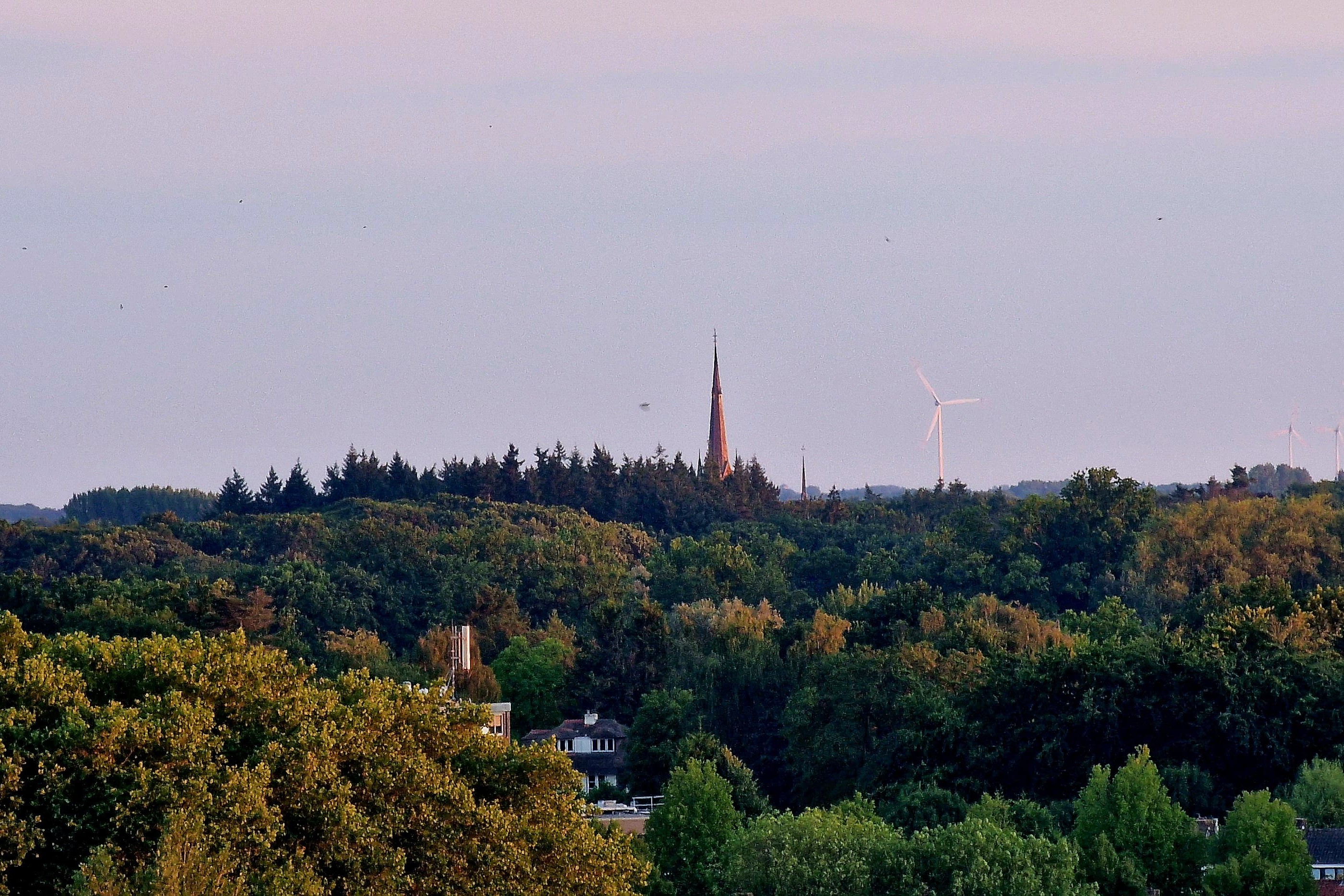 Ulvenhout (foto: Bert van Halteren)