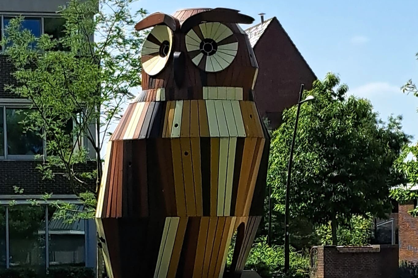 Bosuil in Winterwijk