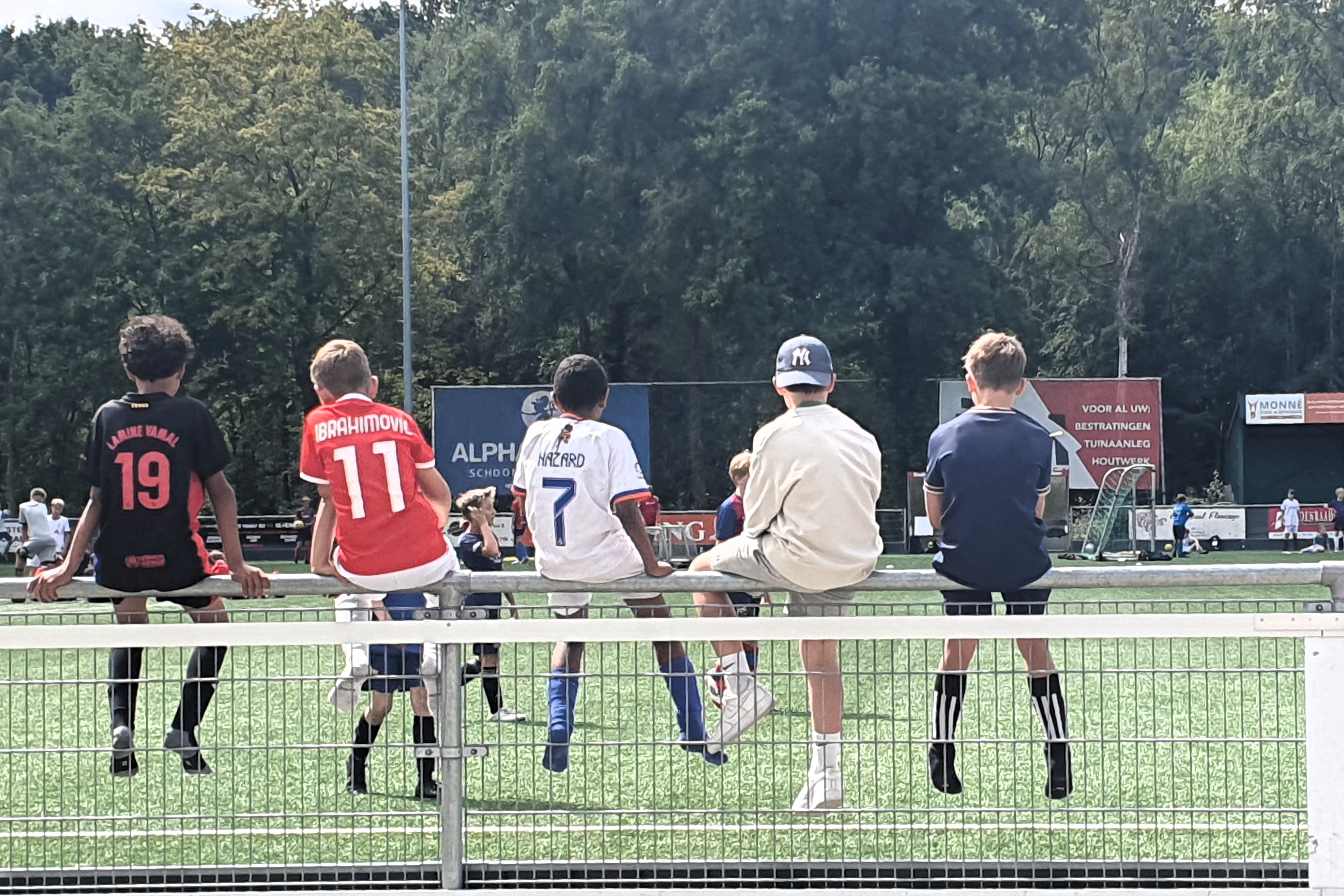 Op het veld