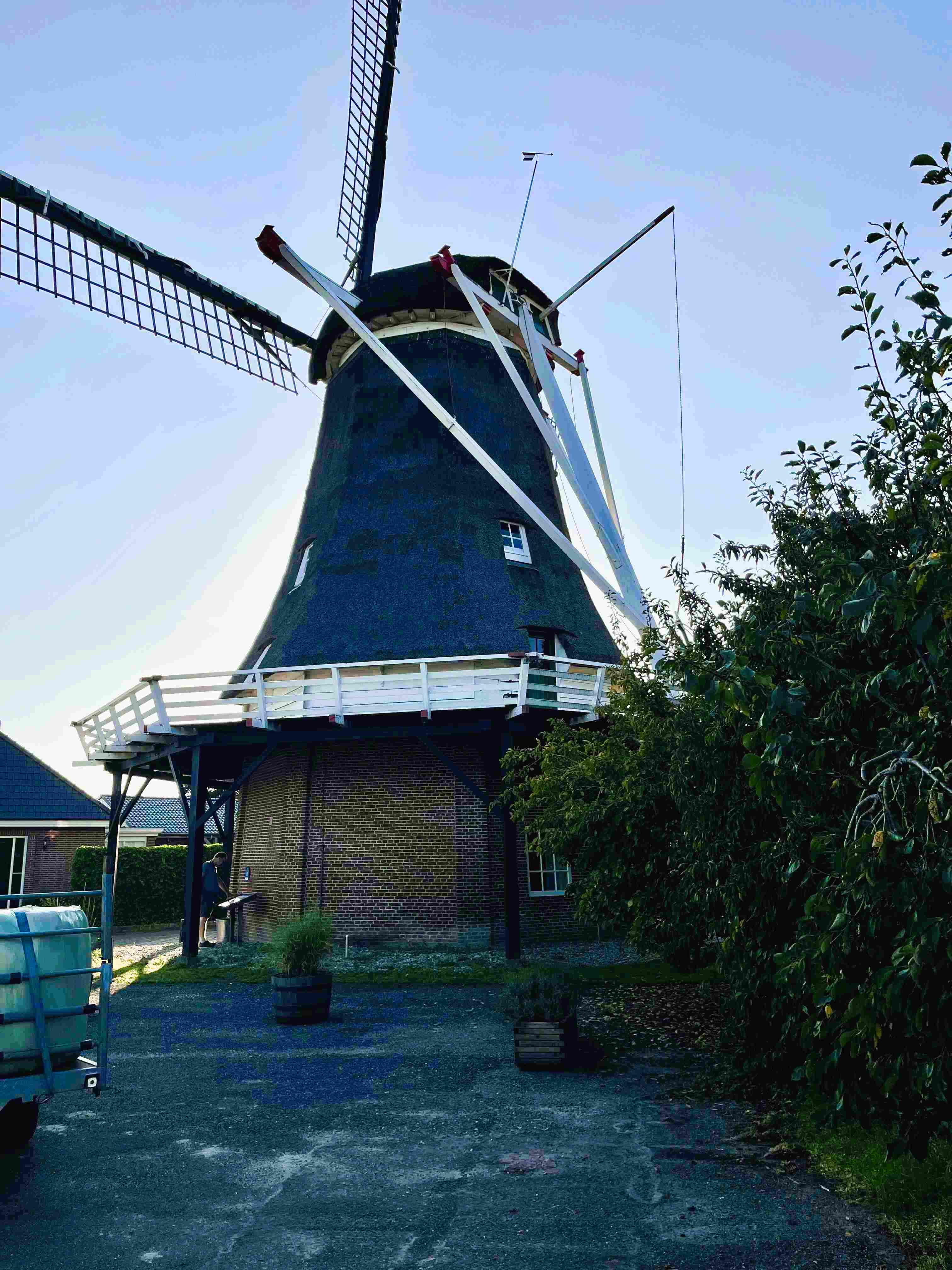 Molen Zalk