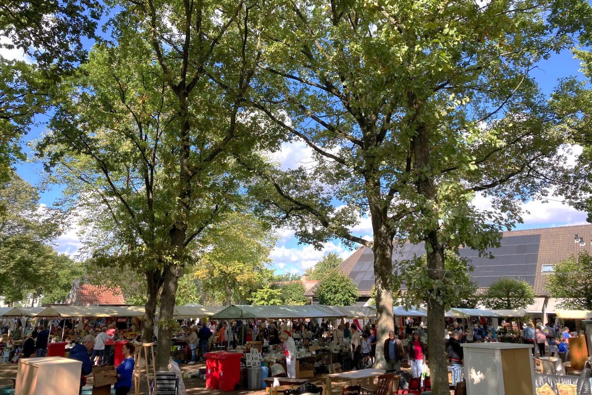 Vlooienmarkt 2025