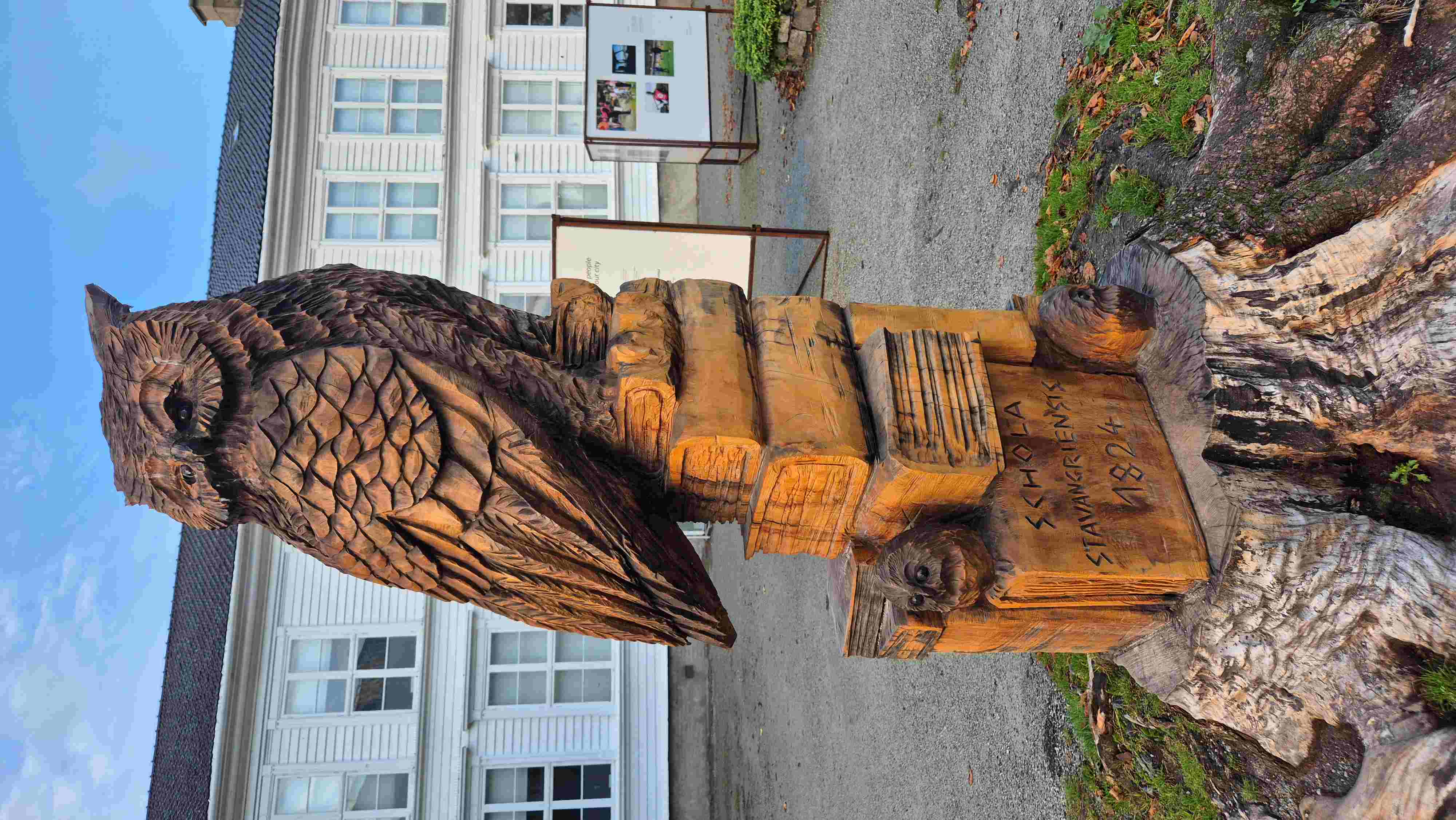 Uil in Stavanger