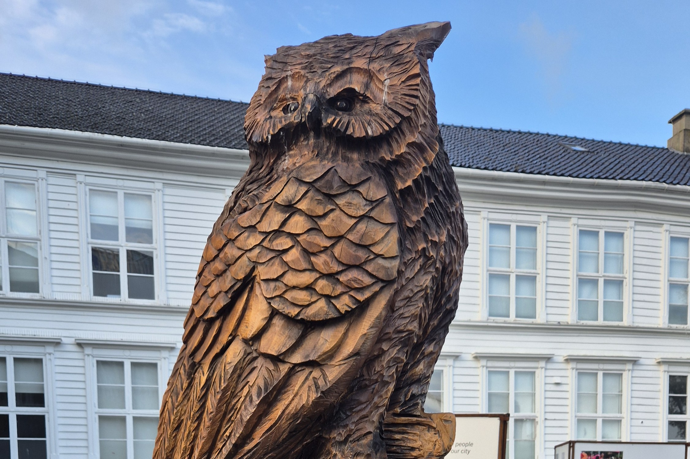 Uil in Stavanger