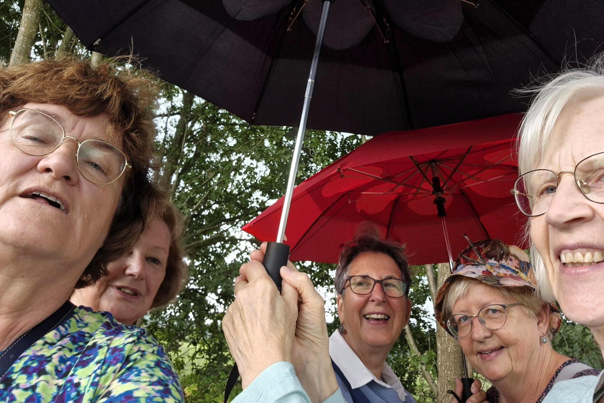 Hoog Bezoek wandelgroep