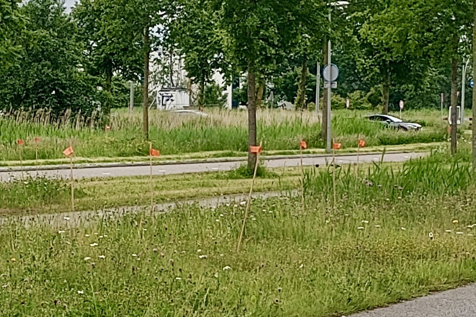 Vlaggetjes
