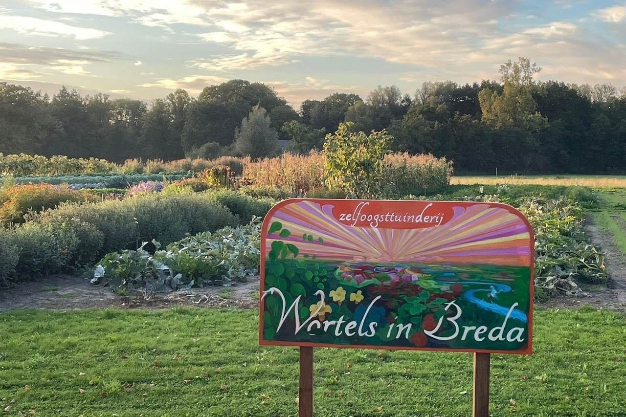 Wortels in Breda op de nieuwe locatie