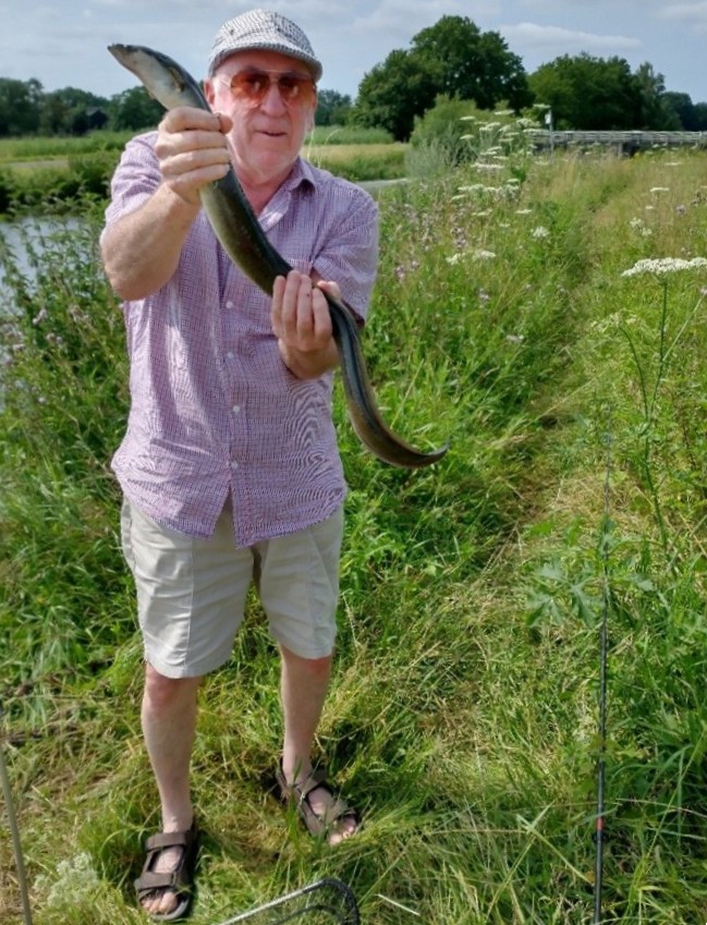 Paling in het Markdal