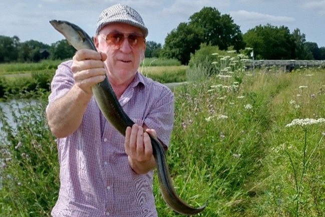 paling in het markdal