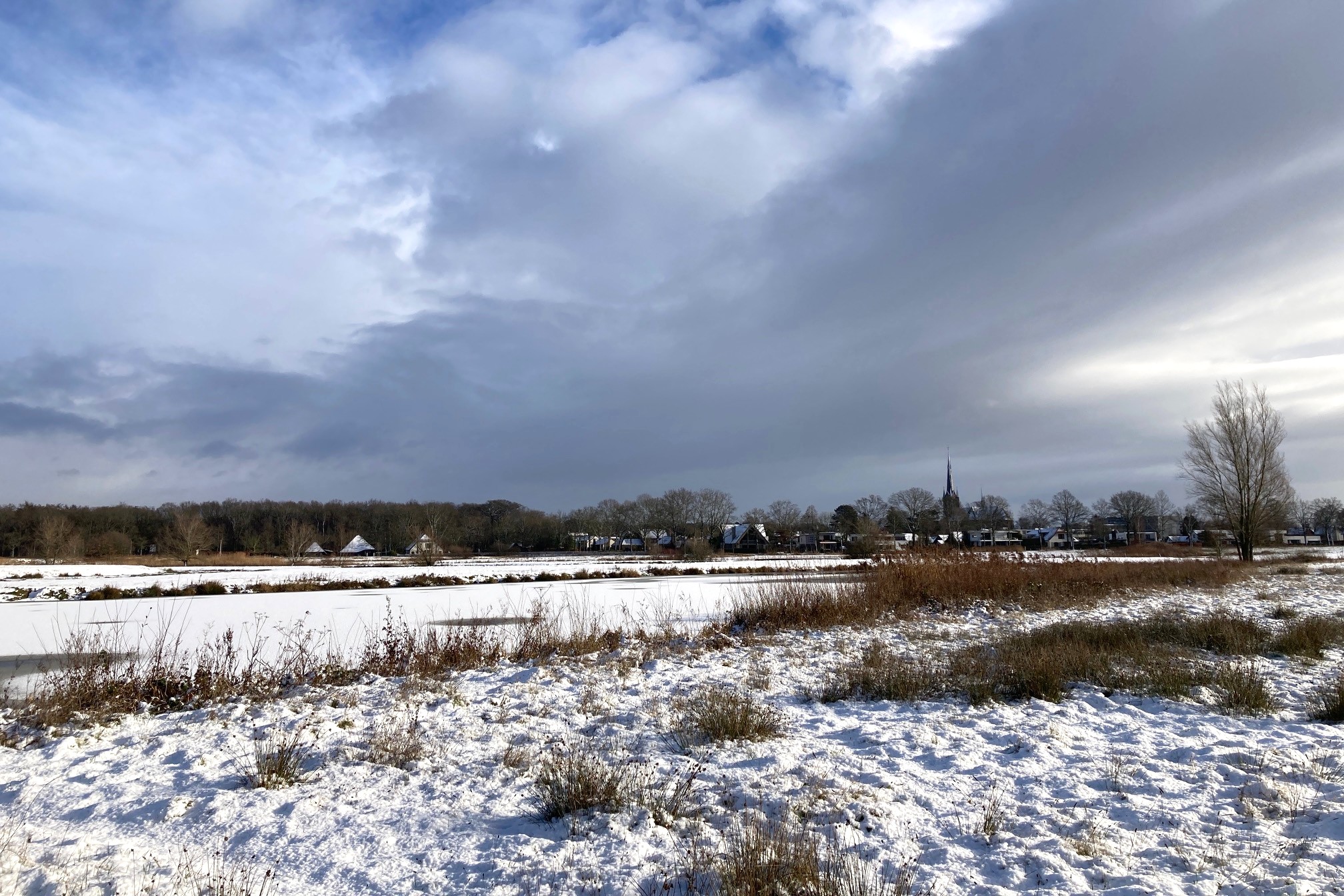 Ulvenhout in de sneeuw
