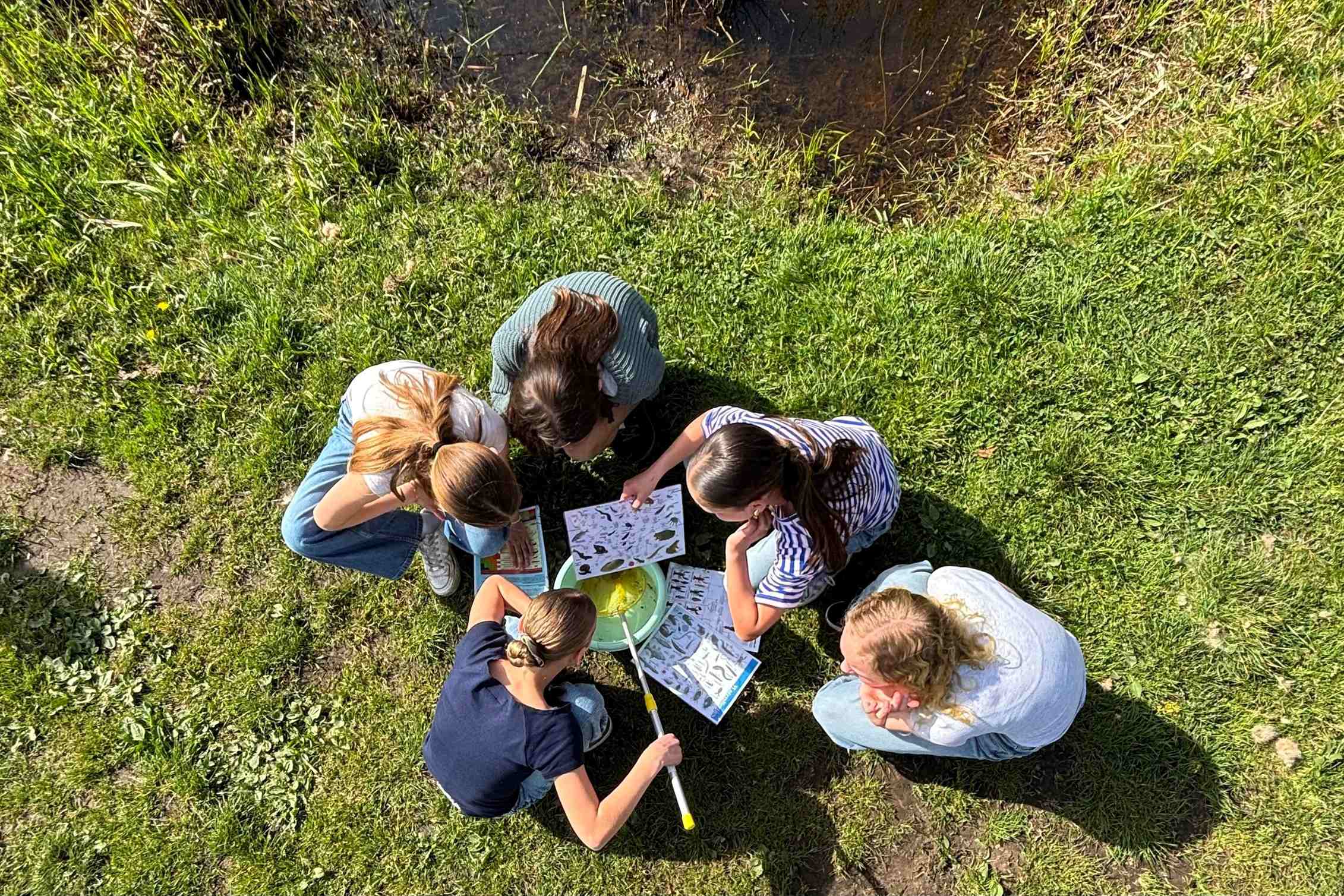 Waterkringloop bestuderen