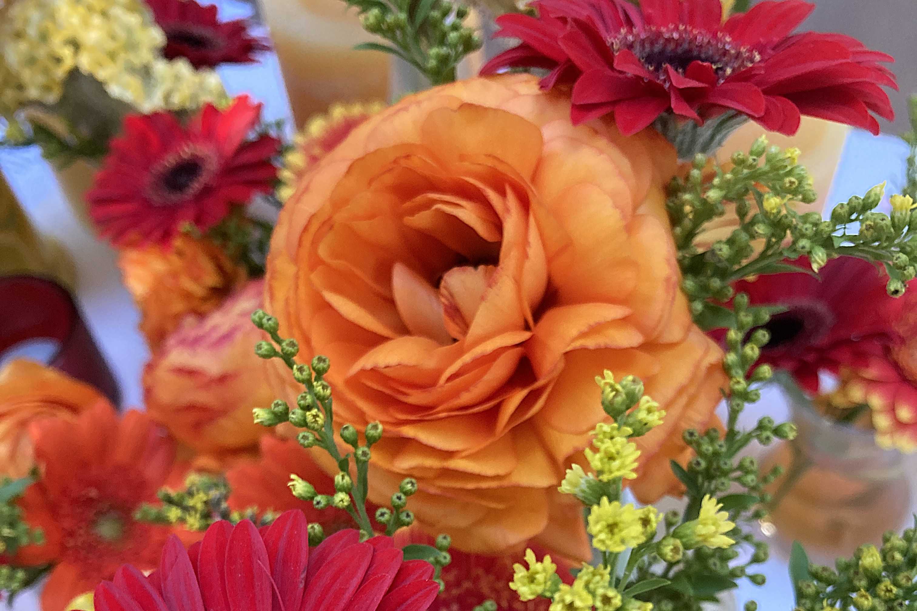 Bloemen