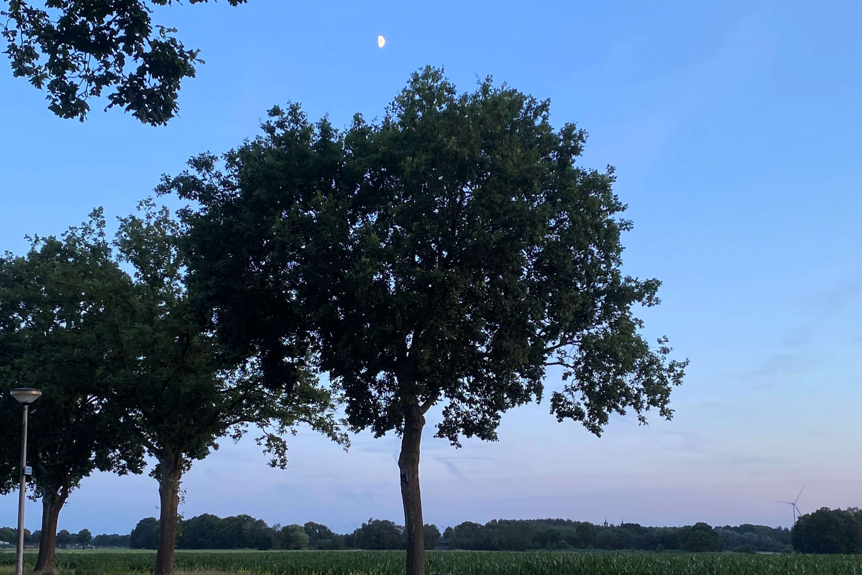 Markdal nacht