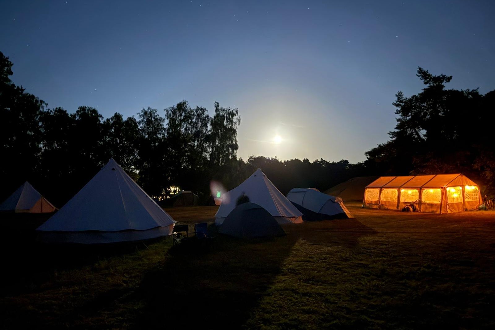 Klokkebei kamp