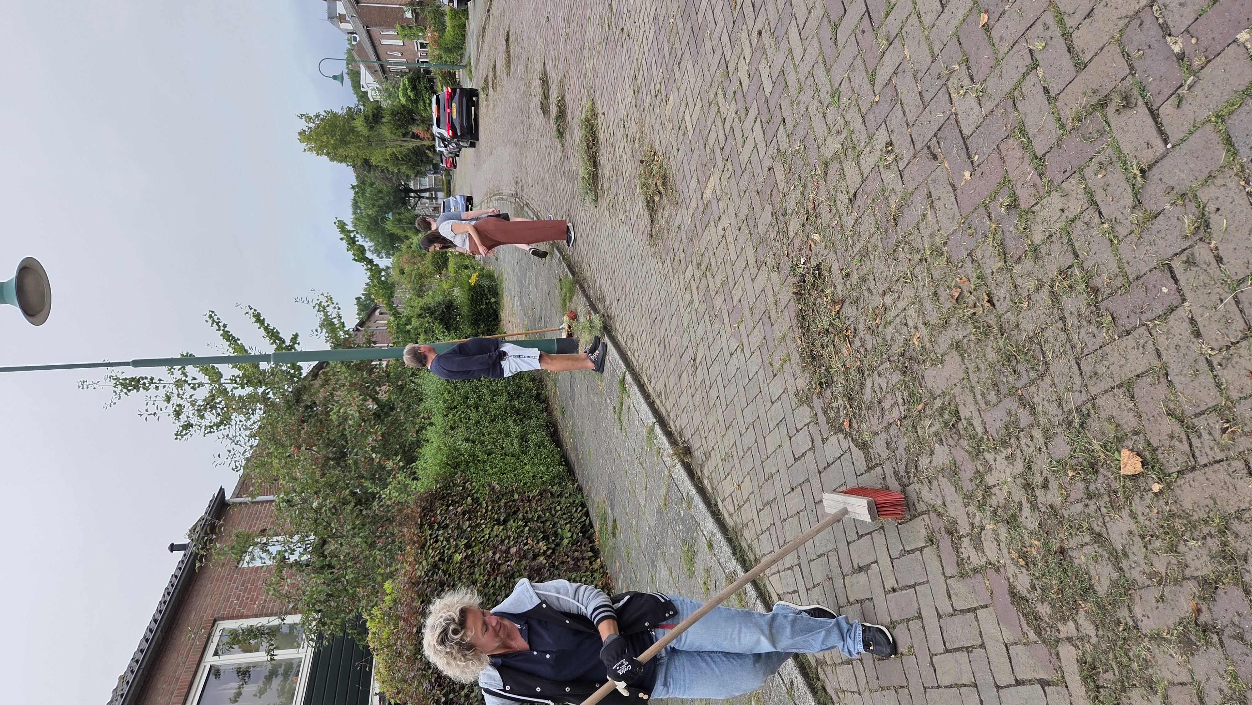Borstelen