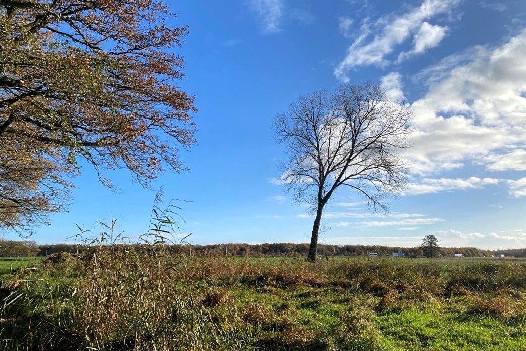 Schoongeveegde lucht bij A58